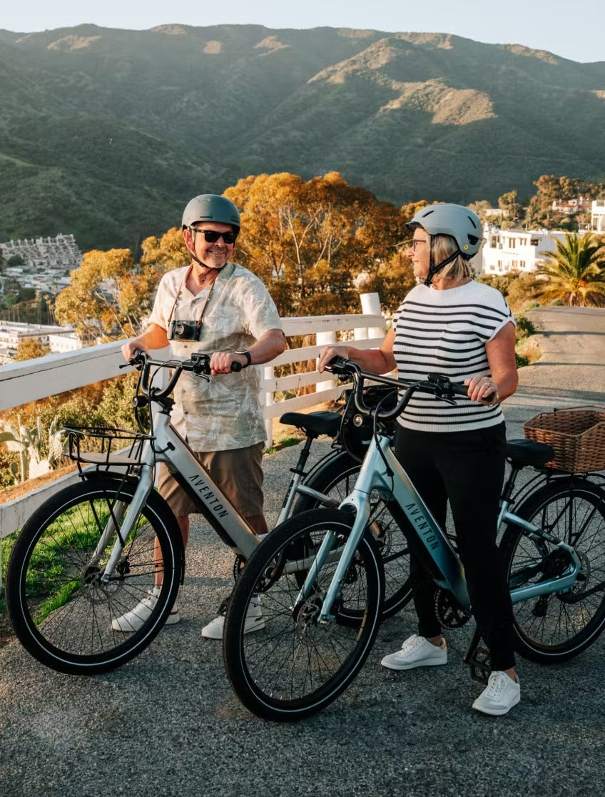 Electric City Bike  – Step-Through Design