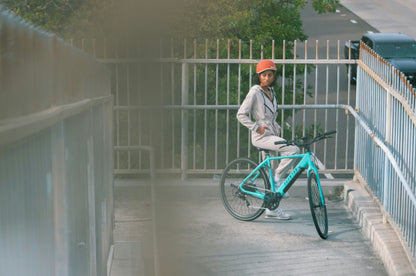 Soltera 2.5 Ebike