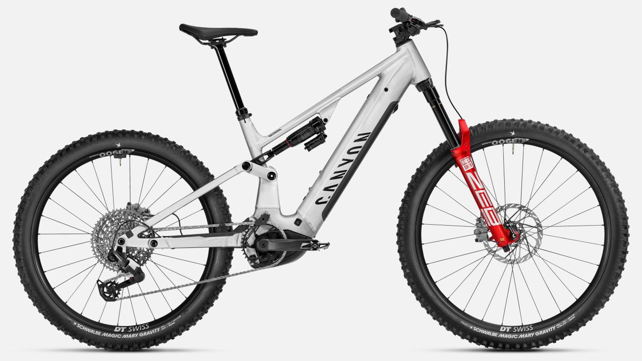 Electric Mountain Bike – Trail Ready Frame