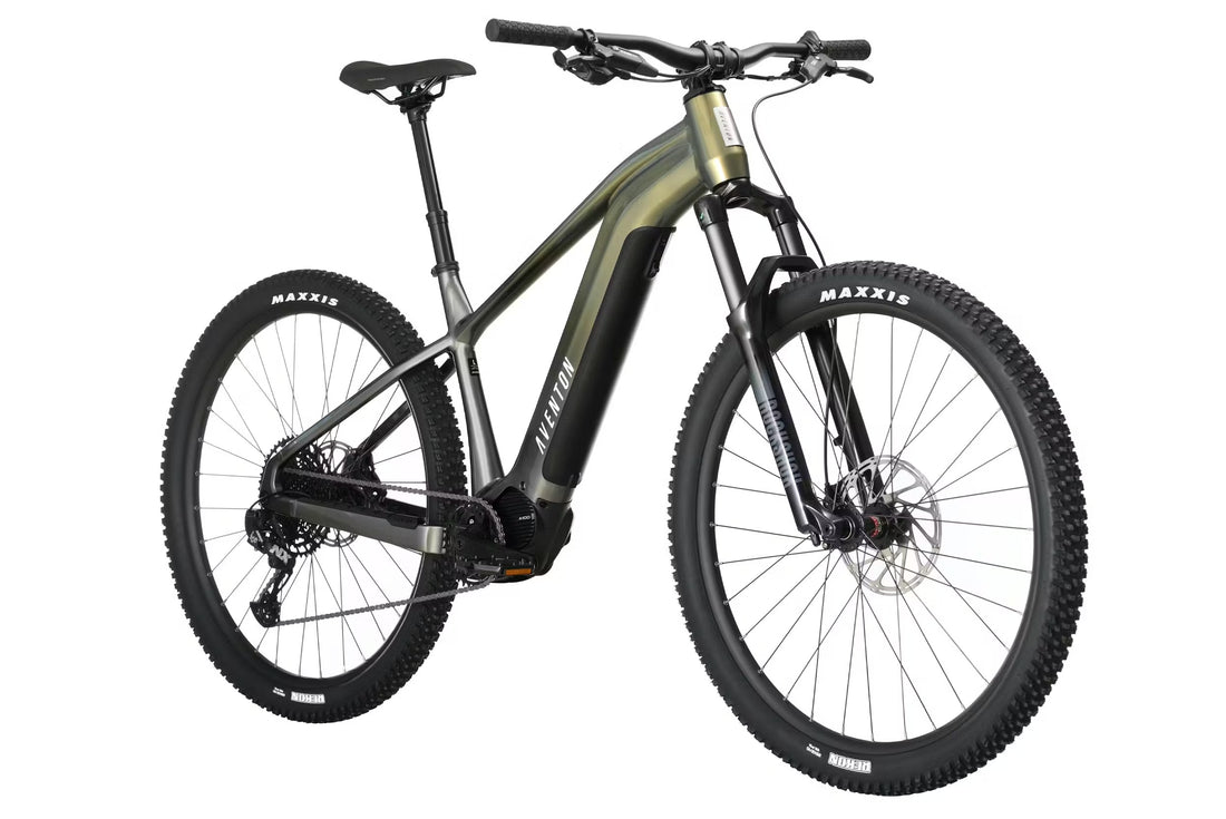 Ramblas Electric Trail Bike 250W – Off-Road Use