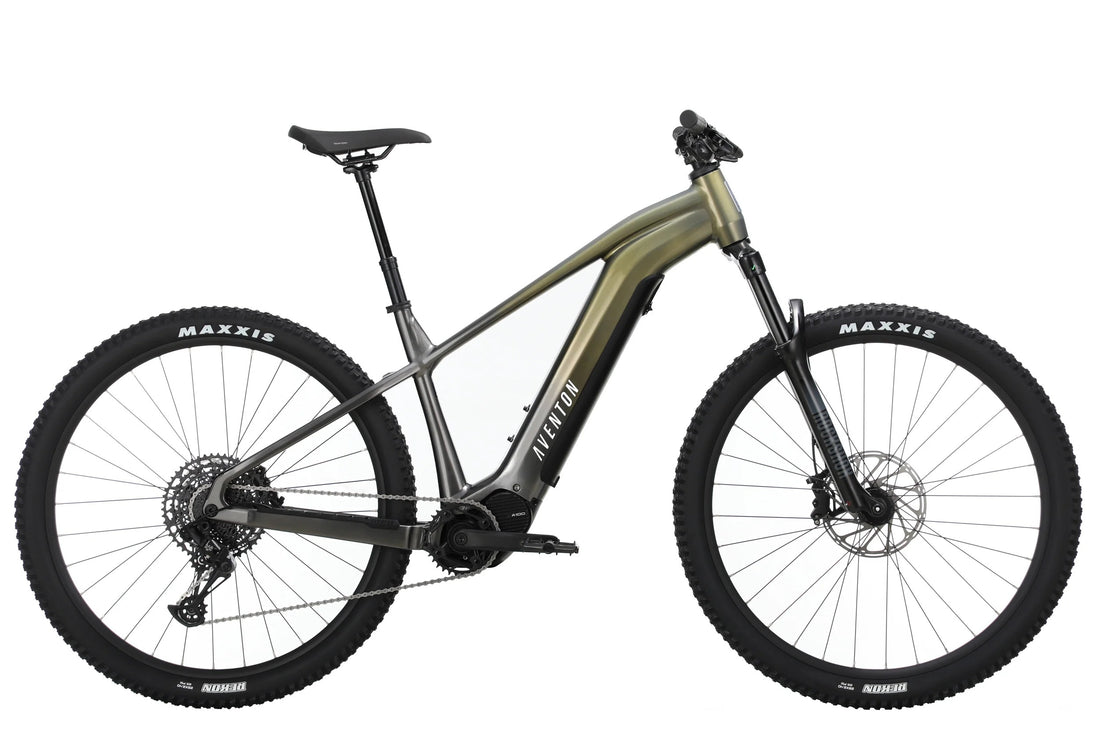 Ramblas Electric Trail Bike 250W – Off-Road Use
